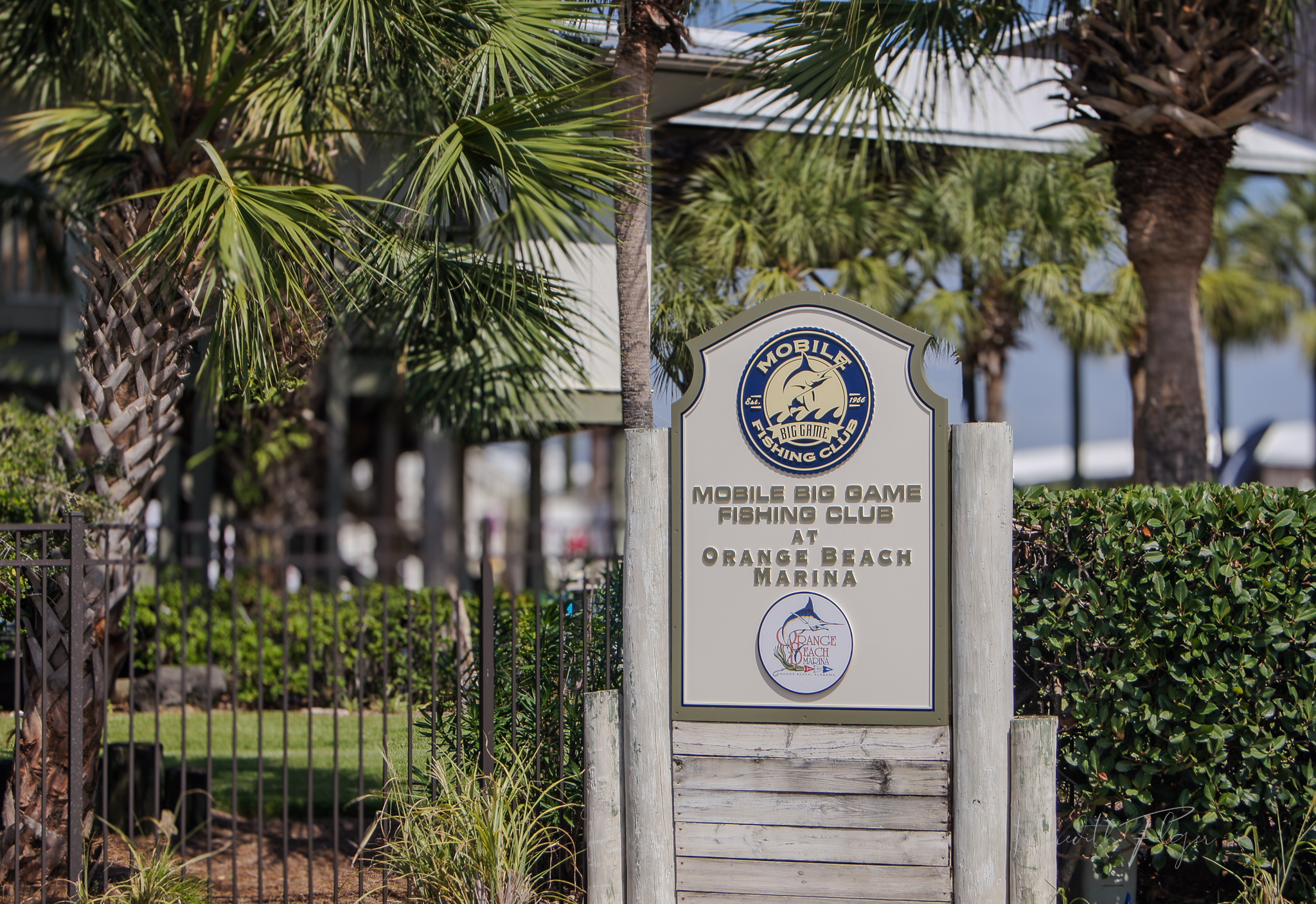 Mobile Big Game Fishing Club Orange Beach Alabama